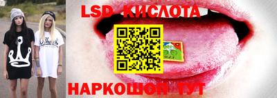 крисы Малоярославец