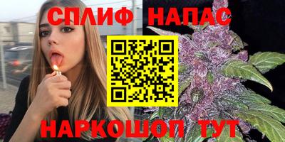 дживик Малгобек